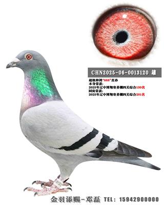 2025�����в���������Ĺ��ۺ�130��