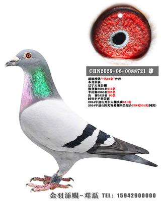 2025�������������90��