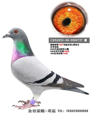 2025����ɽ���⹫�����718��