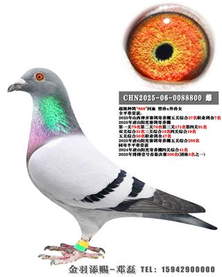 2025��ɽ���������27��ȫƽ��