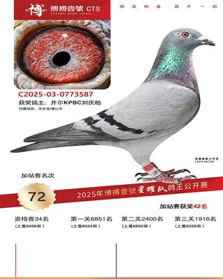 25���ﲩ����ҫ�Ӽ�վ��42��������72