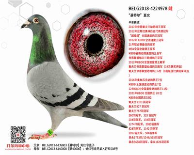 �����ض���ֱŮ