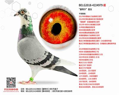 �����ض���ֱŮ