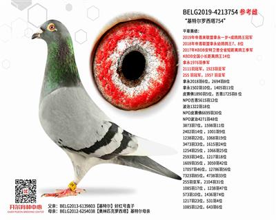 �����ض�������754��