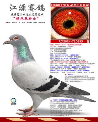 �û����ض�