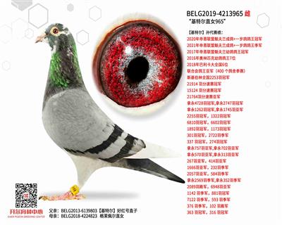 �����ض�ֱŮ965��