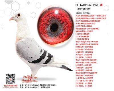 �����ض�ֱ��966��