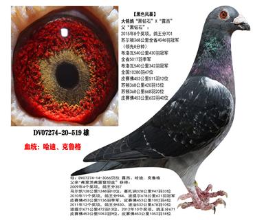 ���Ͽ�³�����