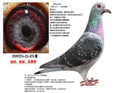 ���Ͽ�³�����