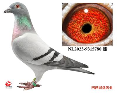 ����*🔥������