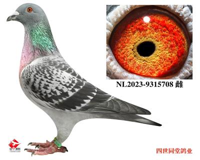 ���*�˷ܺ�