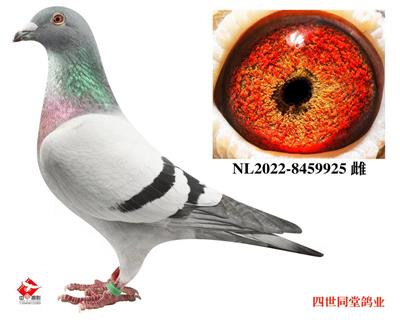 ţ�ۺ�*���