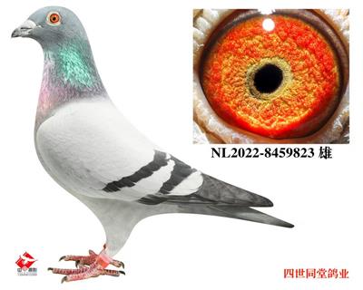 ��������*�°���ƥ��������