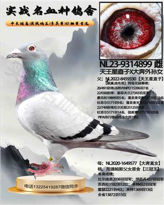 ʵս��Ѫ�ָ���