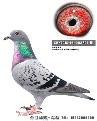 �򸣹���44��ȫƽ��