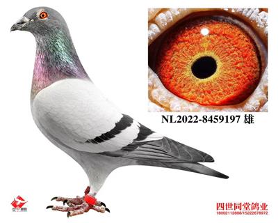 ղķʿ*��������456