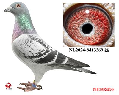 쫷��֮��*��ǧ����