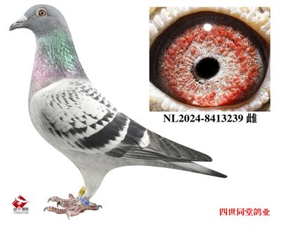 쫷��֮��*��ǧ����