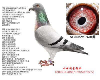 ��������������*�ȵ��