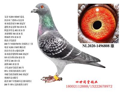 ���*��Ŀ��