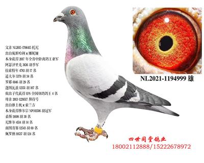 ����*�ڴ���