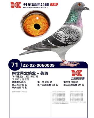 ��������˫�ظ���71λ