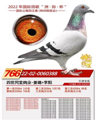 22���������ݻԻ͹������10λ