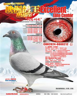 �ƶ�����