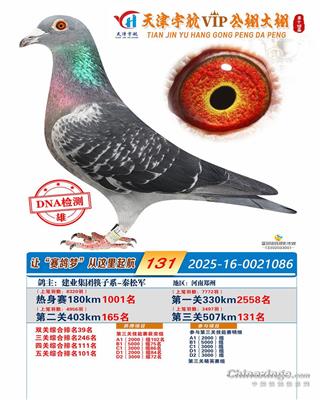 �������131��