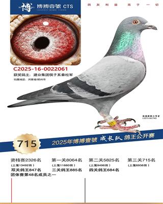 �����ɳ��Ӿ���715��