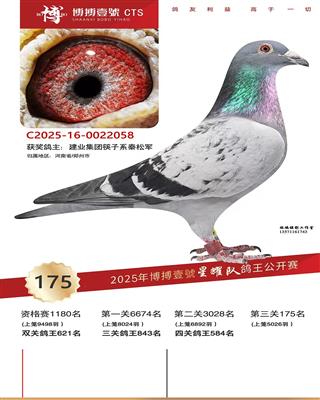 ������ҫ�Ӿ���175��