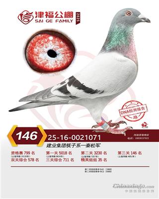 ���򸣹������146��