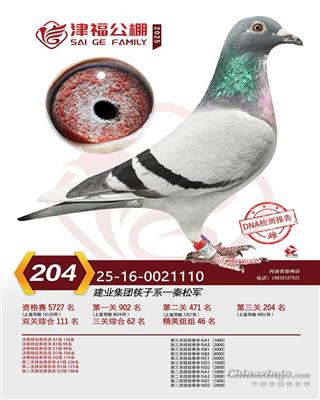 ���򸣹������204��