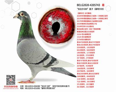 ���ұȶ�389��ֱ�ӣ����ض��