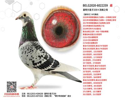 ���ض�ֱ��259����ķ֮ĸ