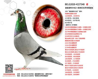 �ٶȻ��ض�982������ƥ������������