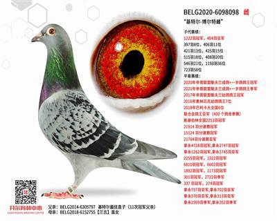 �����ض�-�����شơ�