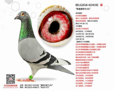 �����ٻ��ض�192��