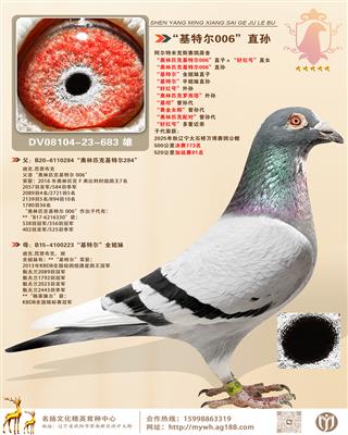 �������׿�˹����ԭ�ᡰ���ض�006��ֱ��