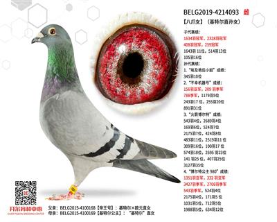 ����צŮ�������ض�ֱ��Ů��