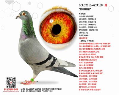 ��������������