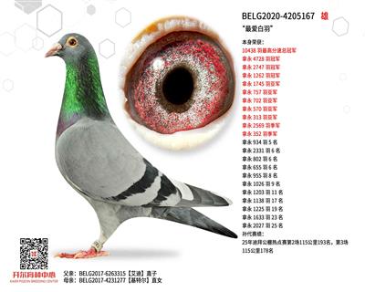 �������