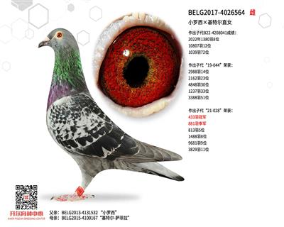 С���������ض�ֱŮ