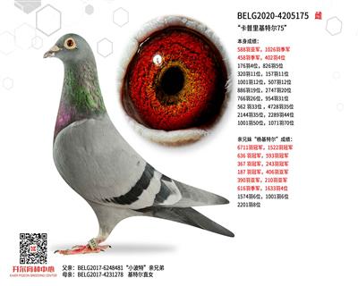 ����������ض�75��