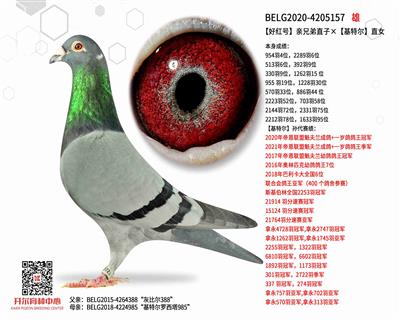 ���ú�š����ֵ�ֱ�ӡ������ض���ֱŮ