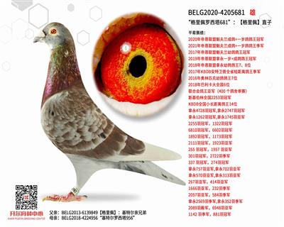 ��������������681�����������塿ֱ��