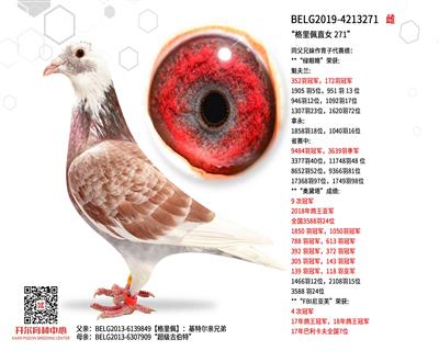 ��������ֱŮ 271��