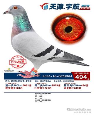 ����������Qِ494��