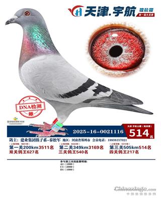 ����������Qِ514��