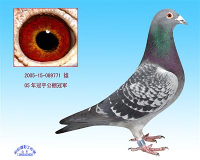 05��ɽ�����������ھ�